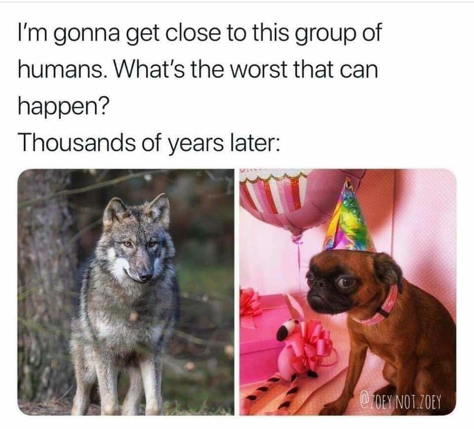 :scale 50%